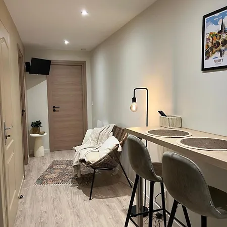 Le Saint-jean Apartment Niort